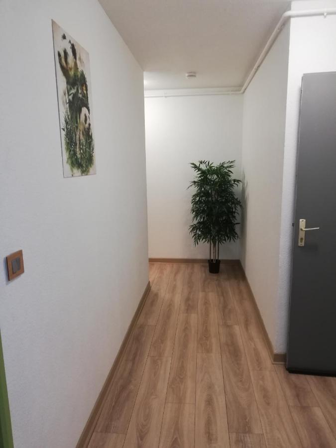 Grand T3 Avec Clim, Parking Et Terrasse Privative - Agen Διαμέρισμα Εξωτερικό φωτογραφία